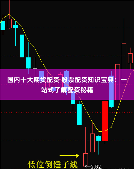国内十大期货配资 股票配资知识宝典：一站式了解配资秘籍