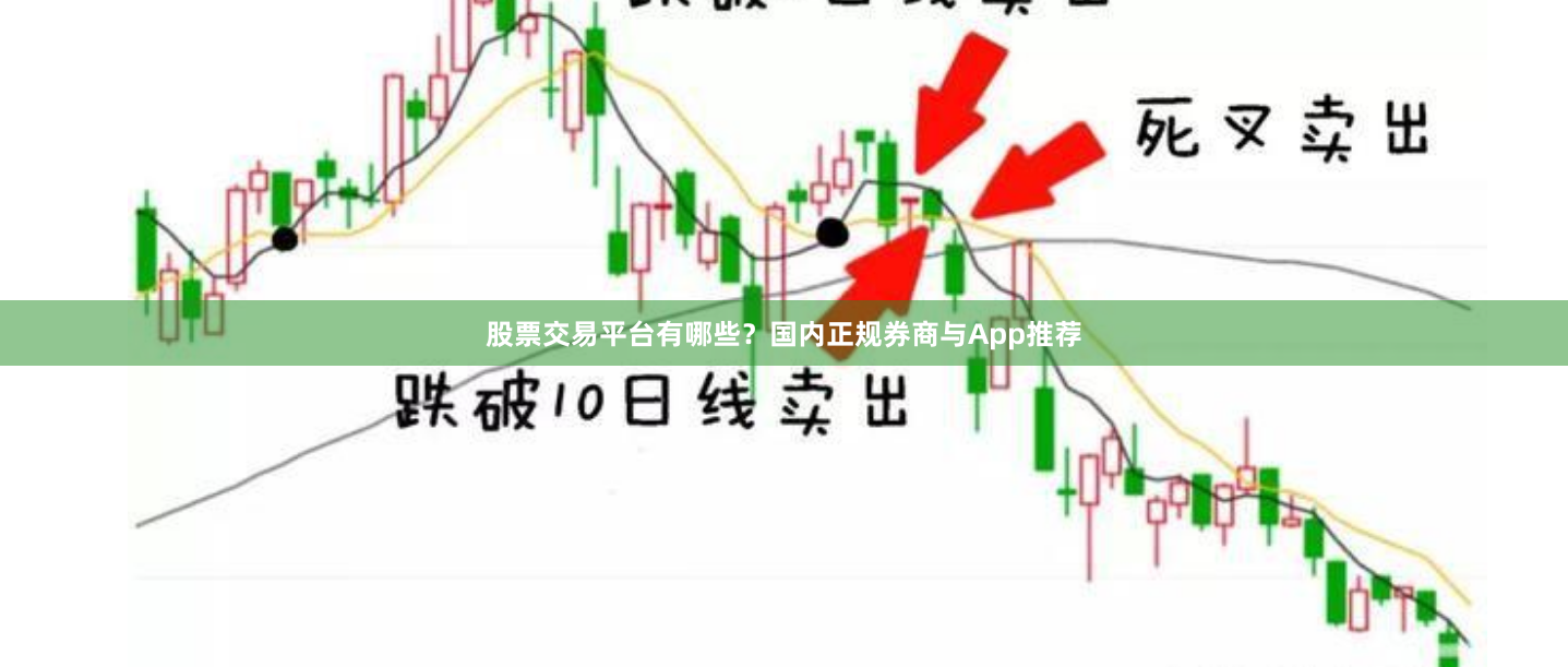 股票交易平台有哪些？国内正规券商与App推荐